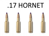 .17 Hornet