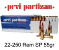 PPU 22-250 REM SP 55Gr (GW1015)
