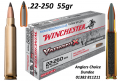 Winchester 22-250 Rem Varmint 55gr (GC1051)