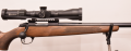 Sako .223 85 Xs Varmint Wood Blue (FA4 29-2))