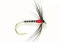 Procter H/Spot Spider Red