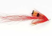 Allys Shrimp Red